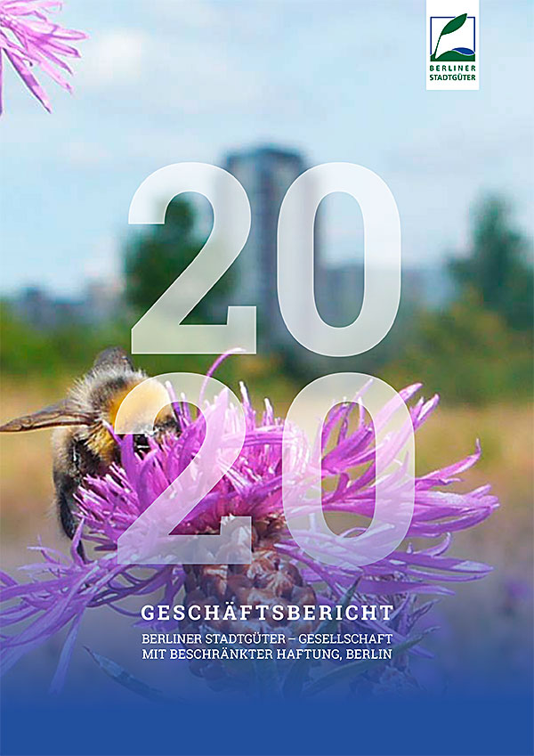Geschäftsbericht 2020 Cover
